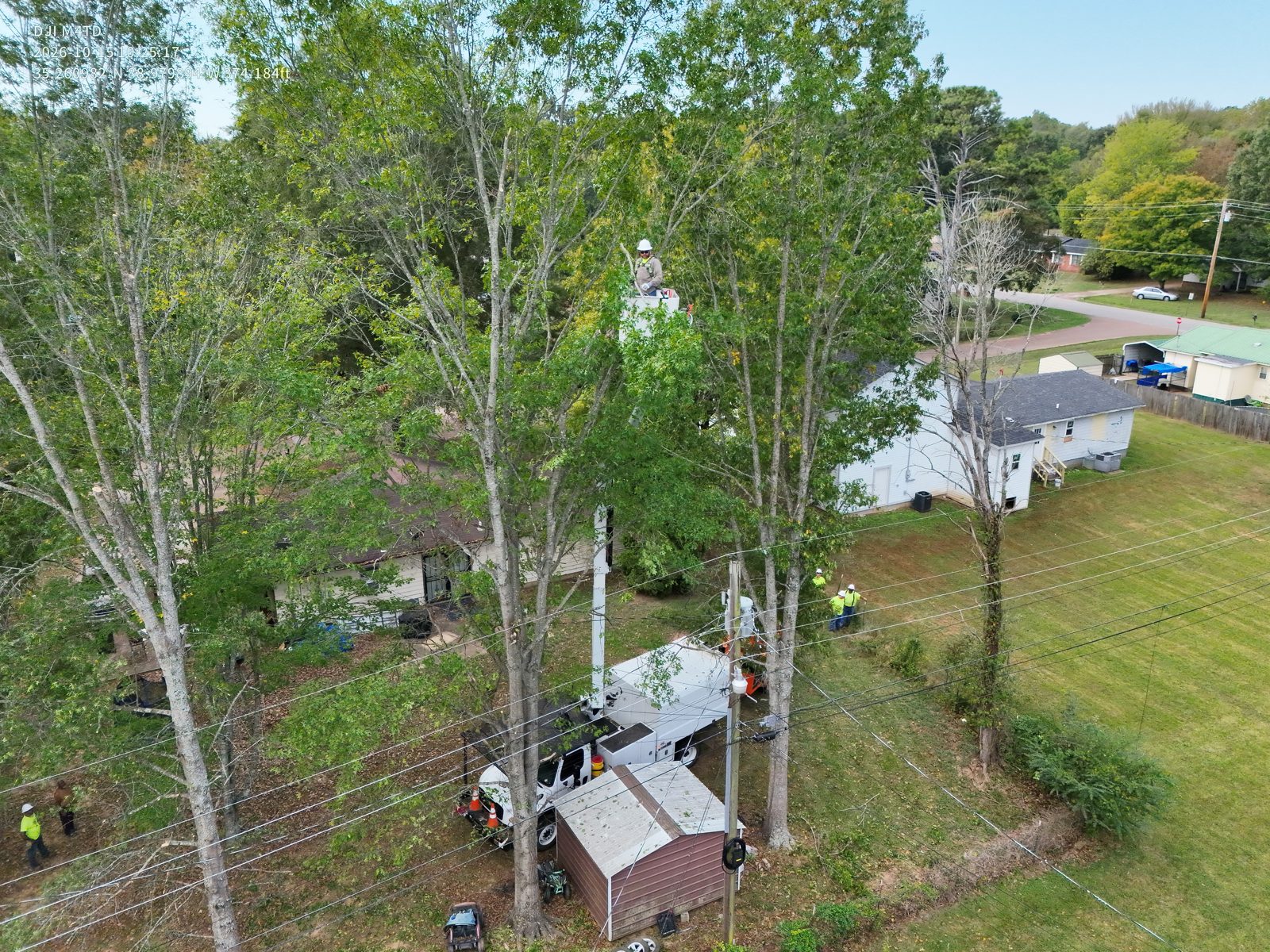 The Right Of Way Crew trimming tall trees near power lines and homes